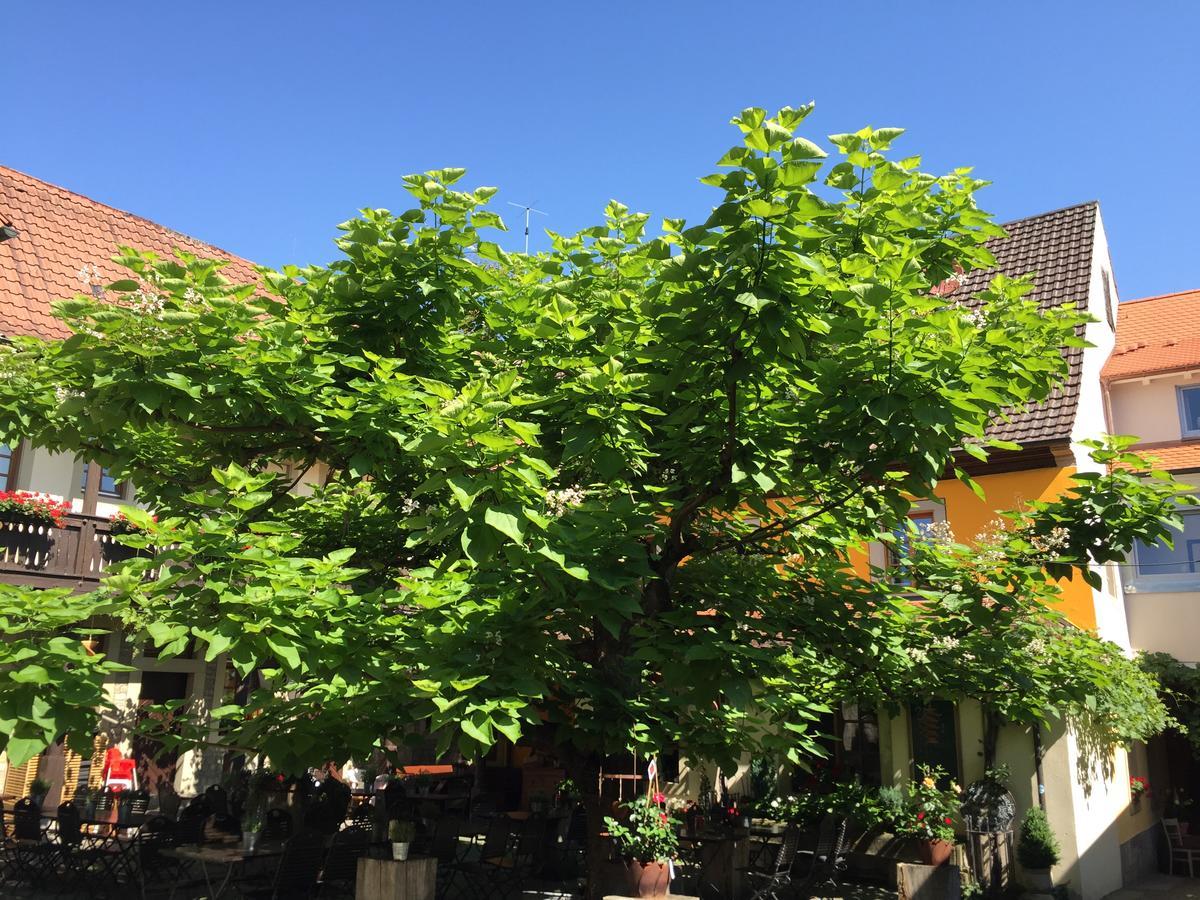 Gasthof Zum Storch Prichsenstadt Extérieur photo